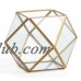 Danya B Diamond Brass/Glass Terrarium   